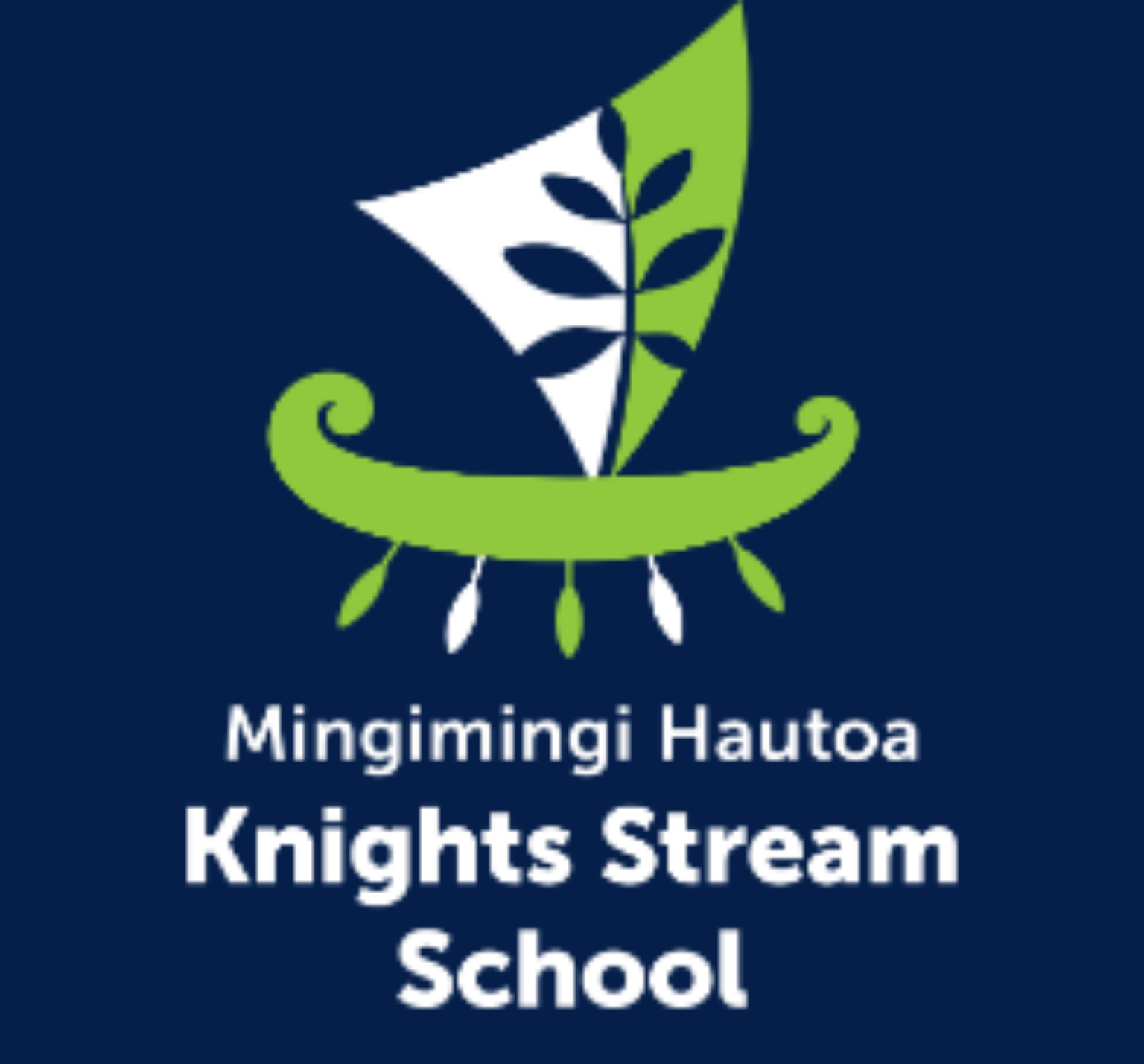 Kings Stream School